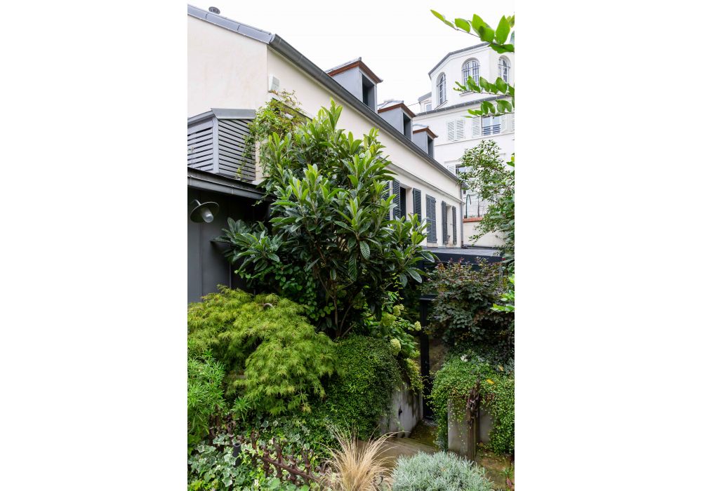 Montmartre - Camille Hermand architecture - 2019