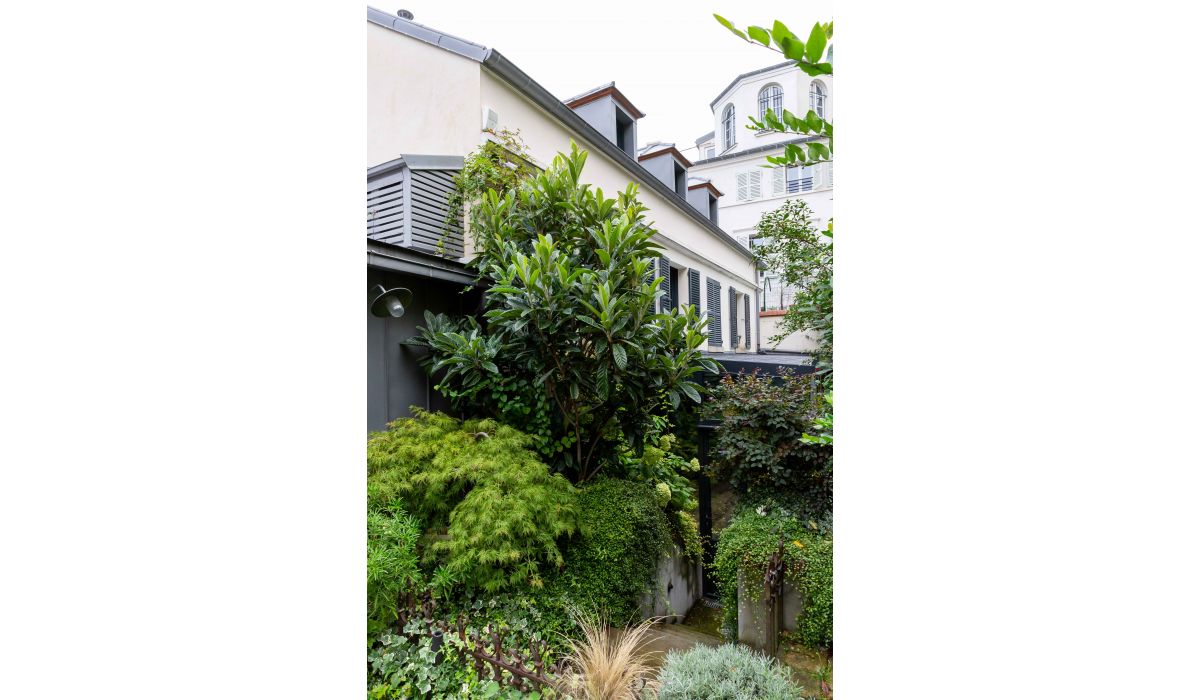 Montmartre - Camille Hermand architecture - 2019